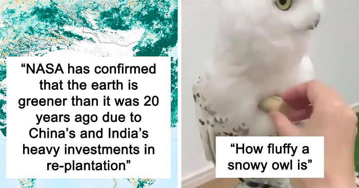 79 Of The Most Interesting Facts About Our World, As Shared By This Twitter Account