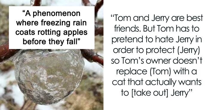 79 Interesting Facts About Practically Everything You Might Not Have Known, Shared By “Fact Point”