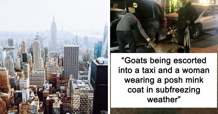 99 Things That New Yorkers Claim Best Represent The 'New York' Experience