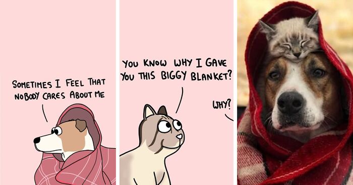 For This Valentine's Day, I Wanted To Feature My 30 Love-Related Comics That Show The Wholesome Backstory Of These Animal Pictures