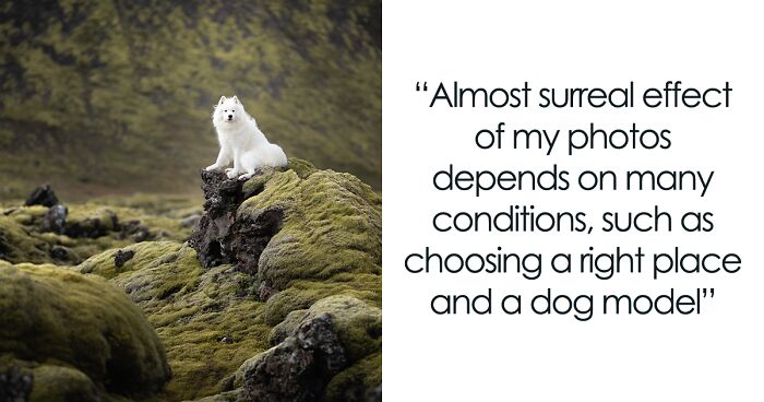 Adventurous Dogs In Breathtaking Landscapes Through My Camera Lens (36 Pics)