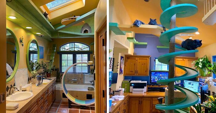 This Man Built A Purrfect House To Shelter Rescue Cats, And Now He Has Over 20 Of Them