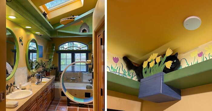 Man Designs A Purrfect Home For Rescue Cats, Founds A Non-Profit To Fight FIP