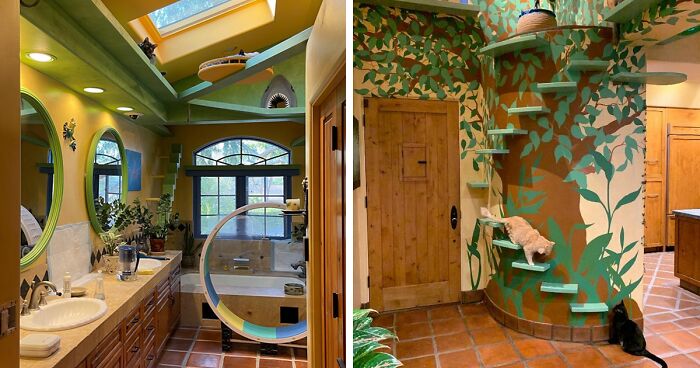 This Man Designed A Purrfect House For His 20-Plus Rescue Cats