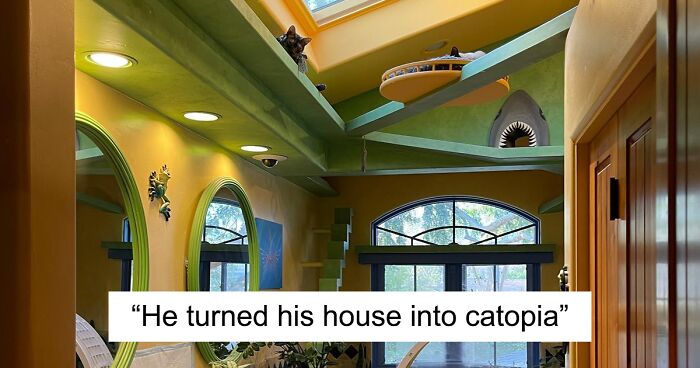 This Man Designed A Purrfect House For His 20-Plus Rescue Cats