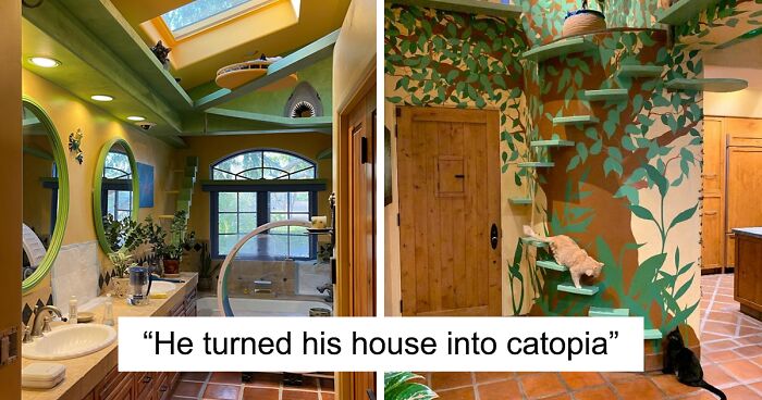 This Man Created A Perfect Home For His 20-Plus Rescue Cats, Founded A Non-Profit To Help Feline Causes