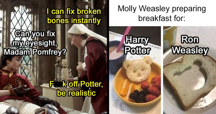 This Online Group Is Dedicated To Funny Harry Potter Memes That Might Make You Look At It From A Different Perspective