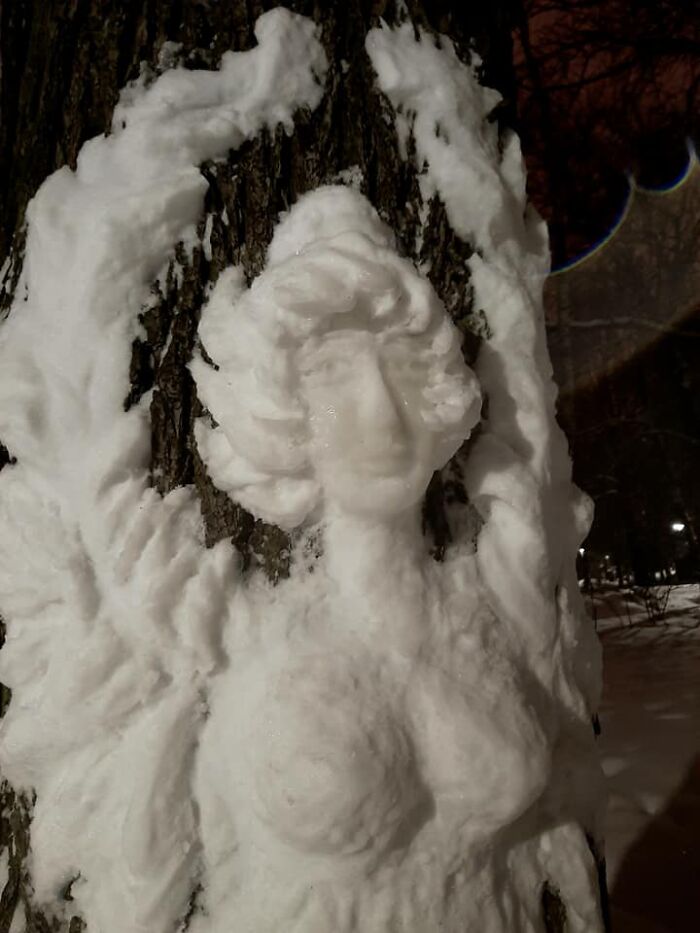 Artist Makes Incredible Snow Sculptures On Tree Trunks