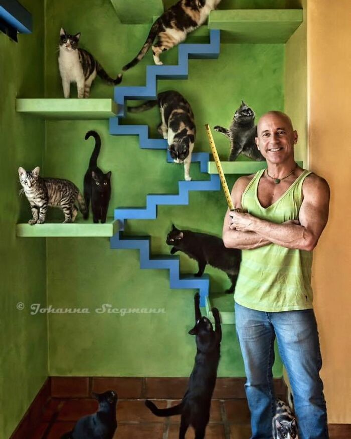 https://www.boredpanda.com/blog/wp-content/uploads/2022/02/This-Man-Turned-His-Home-into-a-Cats-Paradise-620cedc30869c__700.jpg