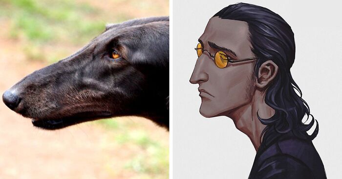 Korean Artist Transforms Animals Into Original Characters While Keeping Their Features (17 New Pics)