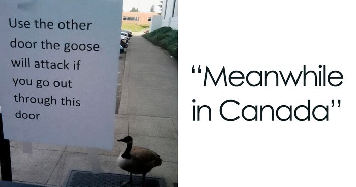 35 Canadian Memes That Are Making People Crack Up At The Country’s Stereotypes