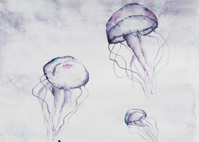 My 7 Surreal Illustrations For Sea Lovers