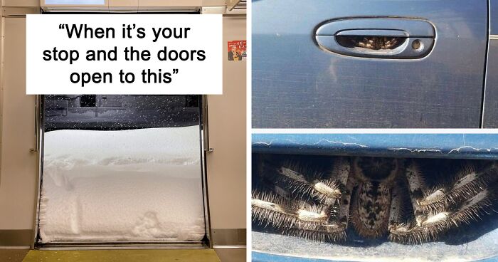 130 Times People Were Out Of Luck And Had A Worse Day Than You (New Pics)