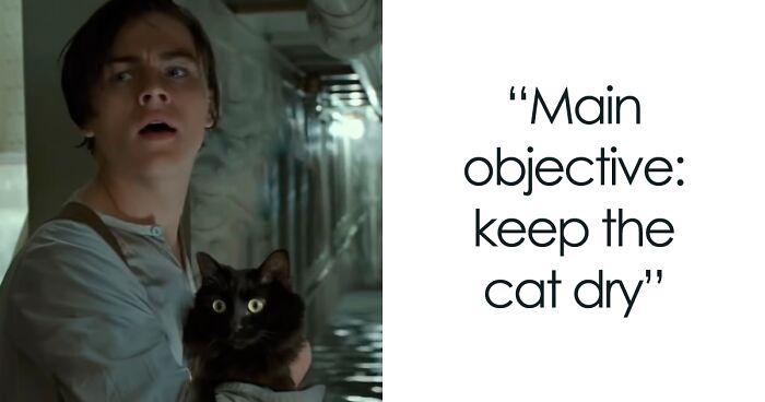 A Parody Video Of A Cat Replacing Kate Winslet In Titanic Goes Viral