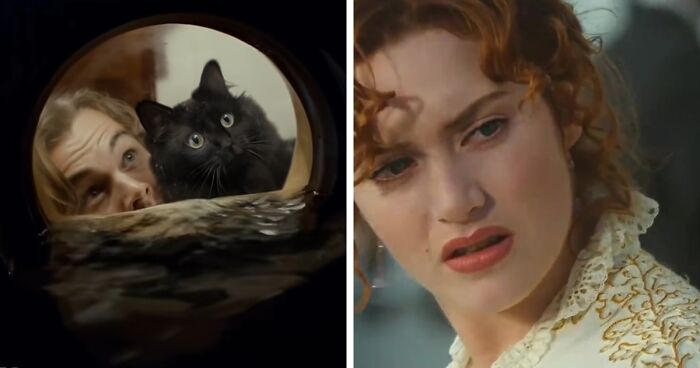 Here’s A Parody Of “Titanic” With A Cat Starring In It