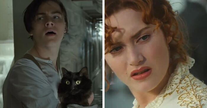 Video Of A Cat Filling Kate Winslet's Shoes In Titanic Goes Viral, And It's Perfect For Valentine's Day