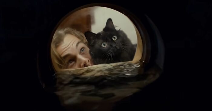 Guy Made A Purrfect Parody Of Titanic Starring A Cat Instead Of Kate Winslet