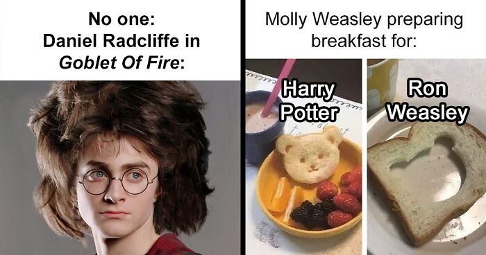 131 Magical Memes From This Harry Potter Online Group