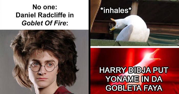 131 Memes For The Wizard In You From This Harry Potter Online Group