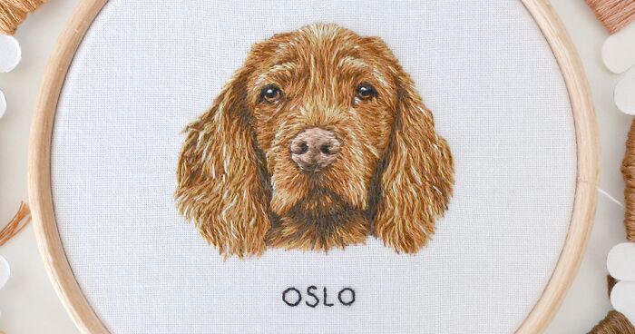 I Embroider Pet Portraits, And Here Are My Best 19 Works