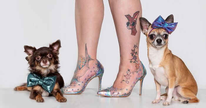 My Photography Project Proves You Can Tell A Pet’s Owner By Their Feet (27 Pics)