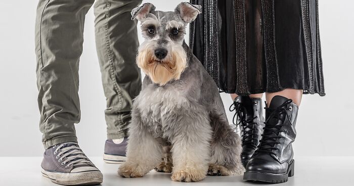 27 Photographs Proving That You Can Tell A Pet’s Owner By Their Feet