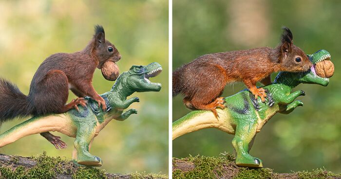 19 Pictures Of Squirrels Interacting With Dinosaurs Taken By Me