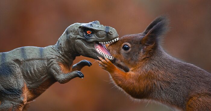 I Am A Nature Photographer, Here Are My 19 Playful Pictures Of Red Squirrels Interacting With Dinosaurs