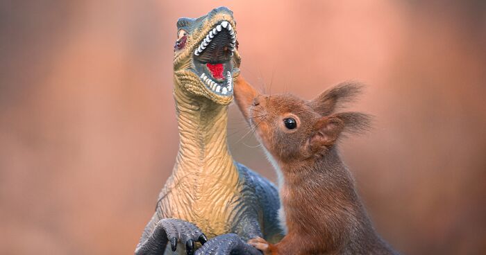 I Photographed Red Squirrels Interacting With Dinosaurs (19 Pics)