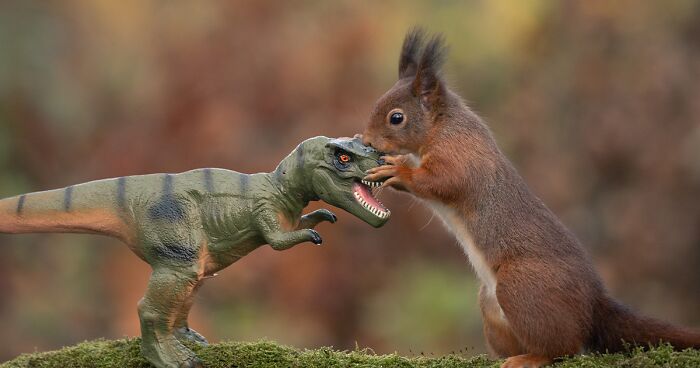 I’ve Spent A Total Of 3,200 Hours Photographing Squirrels, And Here’s 19 Photos Of Them Playing With Dinosaurs