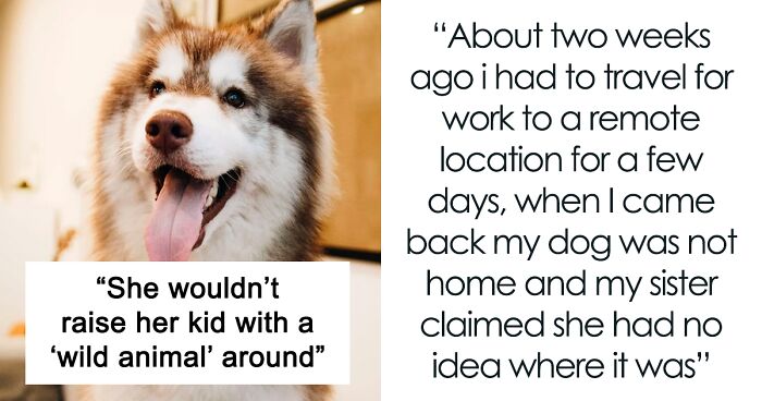 The Internet Is Unanimous In Telling This Woman She Did The Right Thing By Kicking Out Her Pregnant Sister For Secretly Dumping Her Beloved Dog