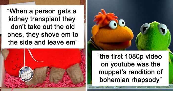 42 Entertaining And Curious Facts About The World That You Probably Didn’t Know, As Shared In This Online Group