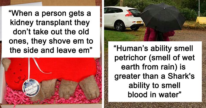 42 Interesting And Weird Facts About The World That You Might Not Have Known, As Shared In This Online Group