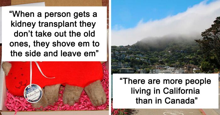 42 Random Facts For Your Own Entertainment, As Shared By Folks Online