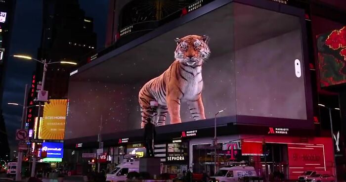 Giant Hyper-Realistic 3D Tiger Billboard Appears In World’s Biggest Metropolises, Mesmerizes The Passersby