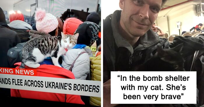 Folks Movingly Hold On To Their Dear Pets During The Horrific Crisis Between Russia And Ukraine (46 Photos)