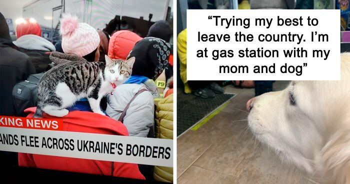 46 Saddening Photos Showing Ukrainian People Clinging To Their Furry Friends Since Russia’s Invasion