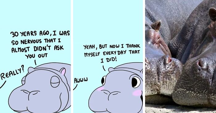 For This Valentine's Day, I Wanted To Show You My 30 Love-Related Comics That Feature The Wholesome Backstory Of These Animal Pictures