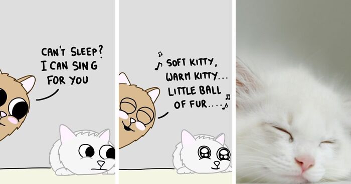 I Wanted To Wish You A Happy Valentine's Day With These 30 Love-Related Comics That Show The Wholesome Backstory Of These Animal Pictures