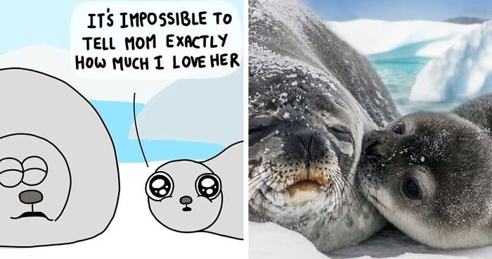 I Made These 30 Wholesome And Love-Related Animal Comics To Wish You A Happy Valentine's Day