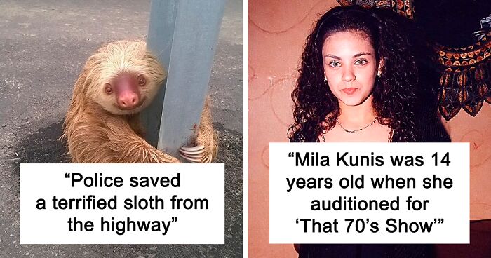 This Instagram Account Collects 116 Fun Facts To Broaden Your Knowledge