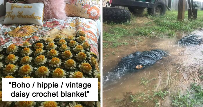 130 Times People Found Such Great Things In Thrift Stores, Flea Markets, And Garage Sales, They Just Had To Share (New Pics)