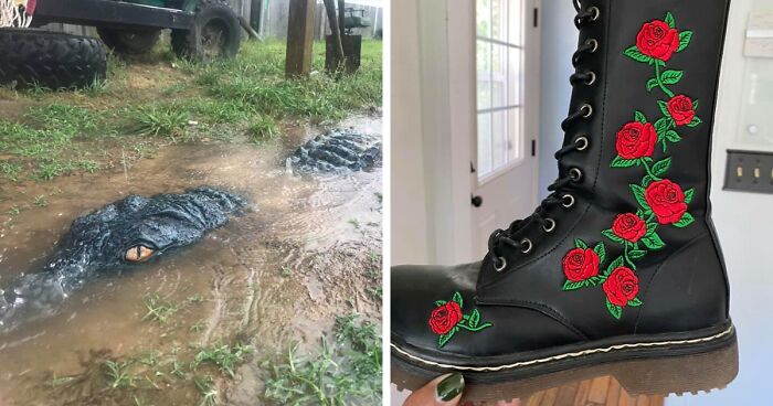 130 Times People Shared Their Weirdest And Best Secondhand Finds (New Pics)