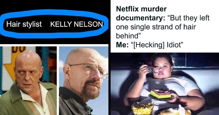 120 Of The Funniest Memes People Who Love To Watch Netflix Would Relate To, Shared On This Popular Facebook Page