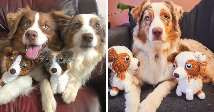 I Create Stuffed Animals Based On People's Pets (29 Pics)