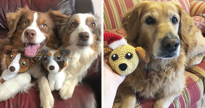 29 Stuffed Animals That I Created Based On Other People's Pets