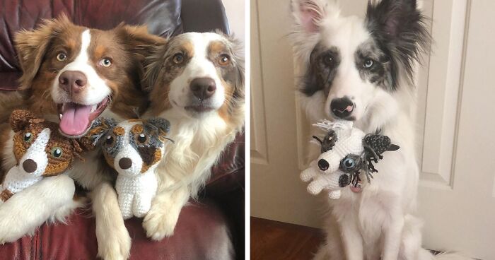 I Create Stuffed Animals Based On People's Pets, And Here My Best 29 Works