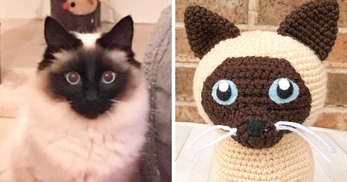 29 Stuffed Animals That I Created Based On Other People's Pets