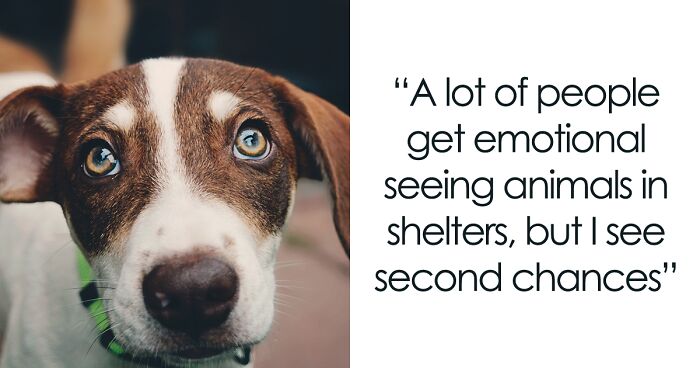 I Photographed These Rescued Animals To Prove That They Deserve A Second Chance (21 Pics)