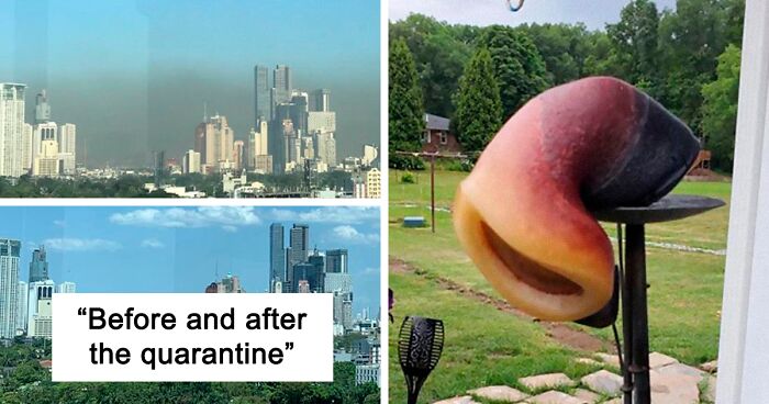 118 Pics That Show Climate Change Is No Joke